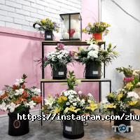 Zhuregim Flowers, салон цветов фото