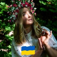 Метелик Житомир фото