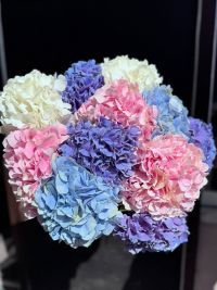Элит Флауэрс отзывы фото