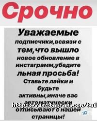 отзывы о Талап-Glossa фото