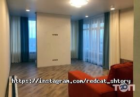 Рудий кіт Київ фото