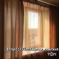 Kotlova Studios відгуки фото