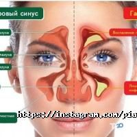 отзывы о Жасаумед фото