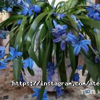 Ательє на вул. 23 августа Харків фото