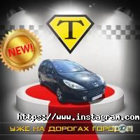 відгуки про Такса таксі фото