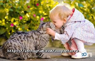 Zoo Panterra отзывы фото