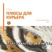 Тигр отзывы фото