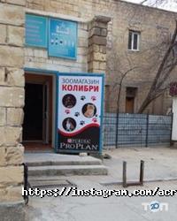 Рекламная группа Акробат Казахстан отзывы фото