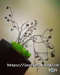 Зоомагазини і послуги для тварин Coral Studio фото