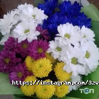 отзывы о Три звезды фото
