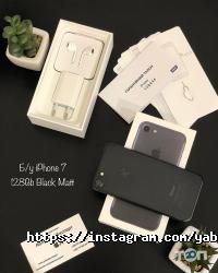 Яблучний експерт Київ фото