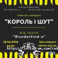Рудий олень, паб фото