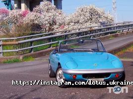відгуки про Lotus фото