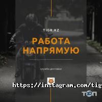 отзывы о Тигр фото