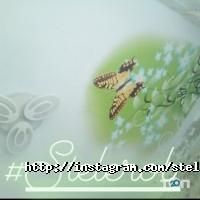 Стелоделый мастер натяжных потолков Запорожье фото