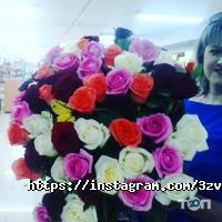 Три звезды отзывы фото
