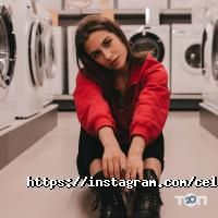 Ремонт компьютеров и офисной техники Целина фото