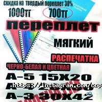 Рекламные, издательские, информационные услуги Коктем фото
