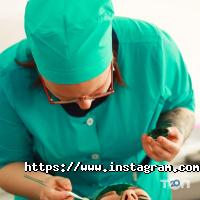 Курси, тренінги Хельерель фото