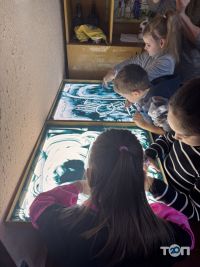 Кз тмр центр творчества детей и юношества Тернополь фото