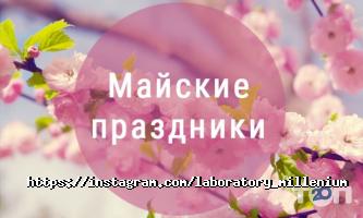 Millenium відгуки фото