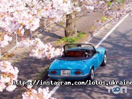 Магазини одягу та взуття Lotus фото