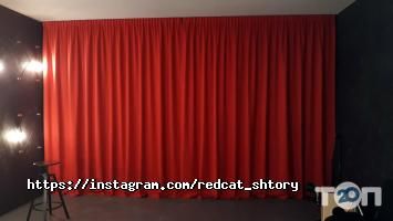 Рудий кіт відгуки фото