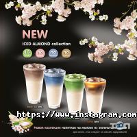 Itis Flowers, кафе фото