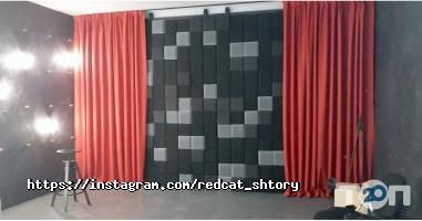 відгуки про Рудий кіт фото