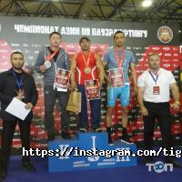 TIGER GYM отзывы фото