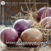 Milieu Patent & Law відгуки фото