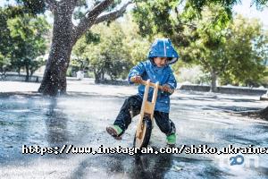 Шикко отзывы фото