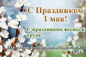 Аудиторські послуги Компаньйон фото