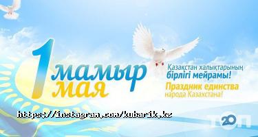 Officeboom.kz отзывы фото