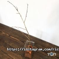 Ricco відгуки фото