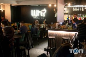 Why Bar Київ фото