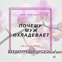 отзывы о NEW FORMS фото