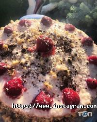 Весняний, міні-готель фото