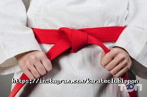 Спортивні секції Ippon фото