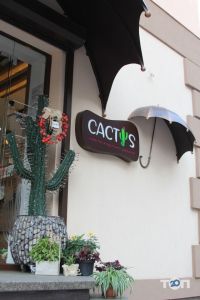 Cactus, магазин цветов - фото 1