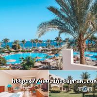 Brigantina Tour, туристичне агентство фото