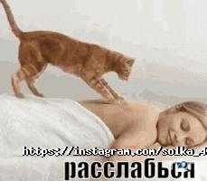 Солька відгуки фото