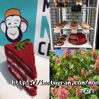 отзывы о Monkey Nice Cream фото