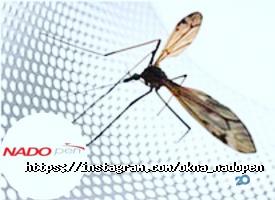 NADOPEN отзывы фото