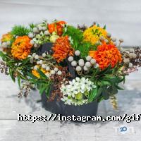 відгуки про Gift room фото