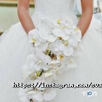 Оформление зала, доставка цветов ZhanDecor фото