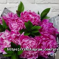 Green Garden фото