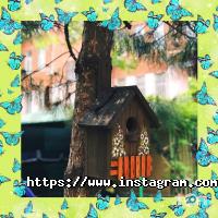 Sweet home, приватний садок фото