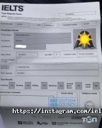 Курсы иностранных языков Multi language фото