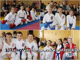 Ippon Дніпро фото